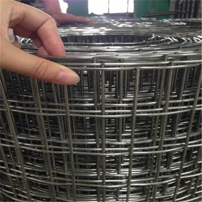 ضد زنگ گالوانیزه 50 * 50 میلی متر حصار مش سیم جوشی 1/4 اینچ سوراخ مربعی مش فولادی توسط تولید کننده قیمت عمده فروشی